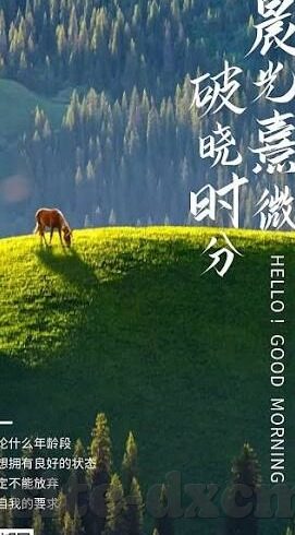 人妻无码久久中文字幕专区-人妻视角的细腻情感——探索中文无码专区的独特魅力
